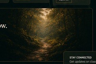 Quiet forest path